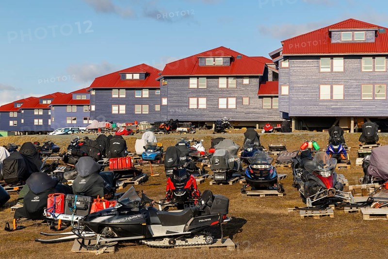 Sikdoos in front of coloured wooden houses, Longyearbyen, Spitsbergen, Svalbard