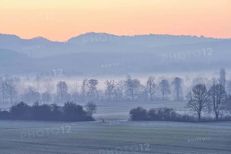 Meadows and trees in the early morning mist in the light of dawn, Reusstal, Aristau, Freiamt, Canton Aargau, Switzerland