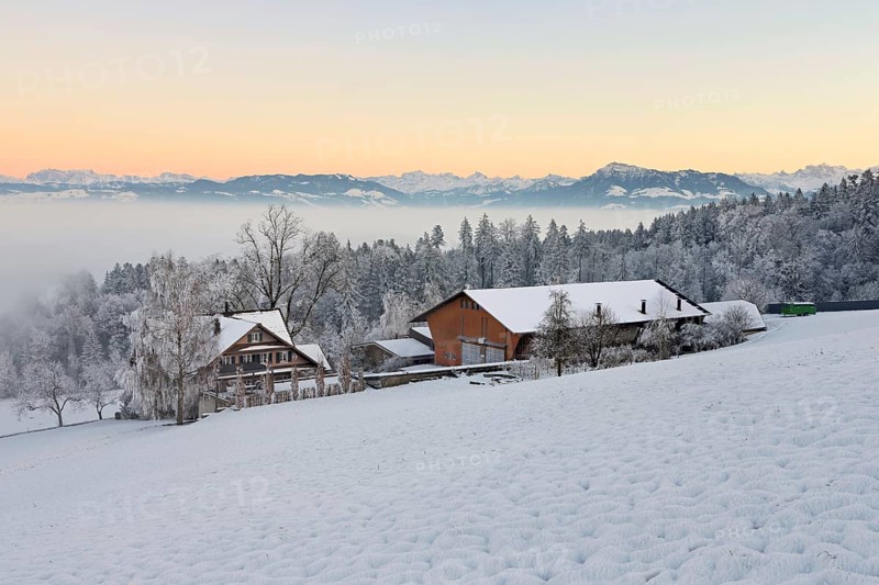 Farm in a freshly snow-covered landscape, behind the Alps with Rigi, Horben, Freiamt, Canton Aargau, Switzerland