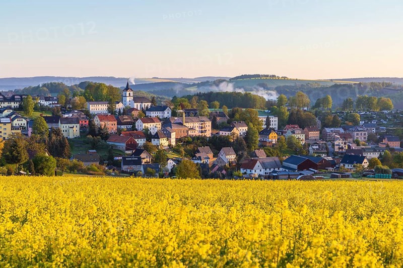 Village view with church and rape field in the morning, Grünhainichen, Erzgebirgskreis, Saxony, Germany