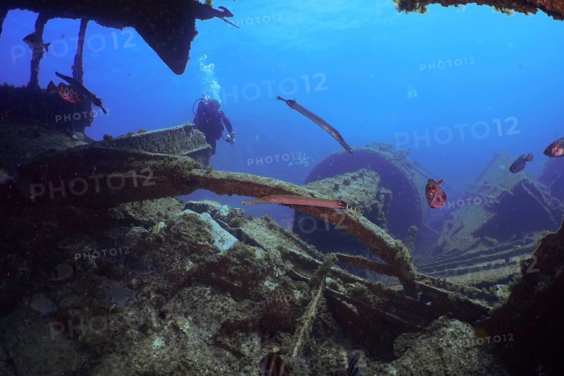 Diver exploring a shipwreck surrounded by fish in deep blue. Dive site Wreck of the Condesito, Las Galletas, Tenerife, Canary Islands