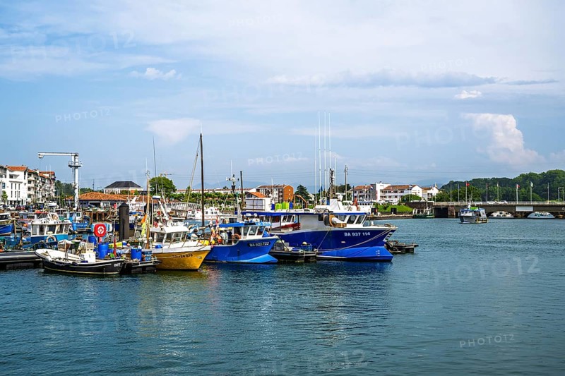 Marina in Saint-Jean-de-Luz, Nouvelle-Aquitaine, Pyrenees-Atlantiques, France