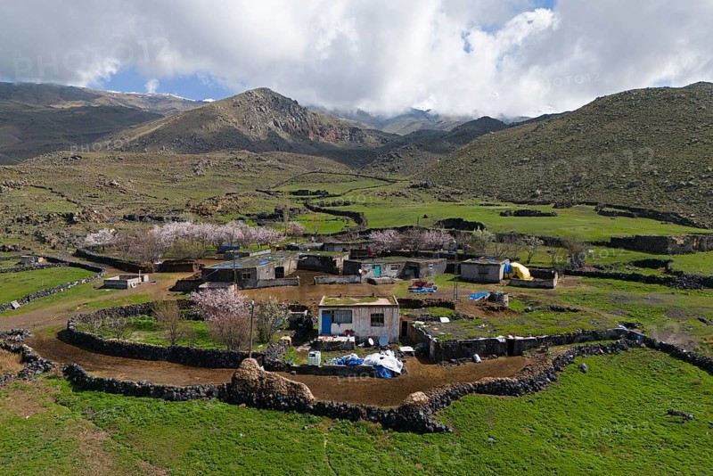 Small village amidst green hills and blossoming trees under a cloudy sky, village at the foot of the great Ararat, Büyük Agri Dagi, Cevirme, Çevirme, Dogubayazit, Dogubayazit, Dogubeyazit, Agri Province, Agri, Eastern Anatolia, Anatolia, Turkey
