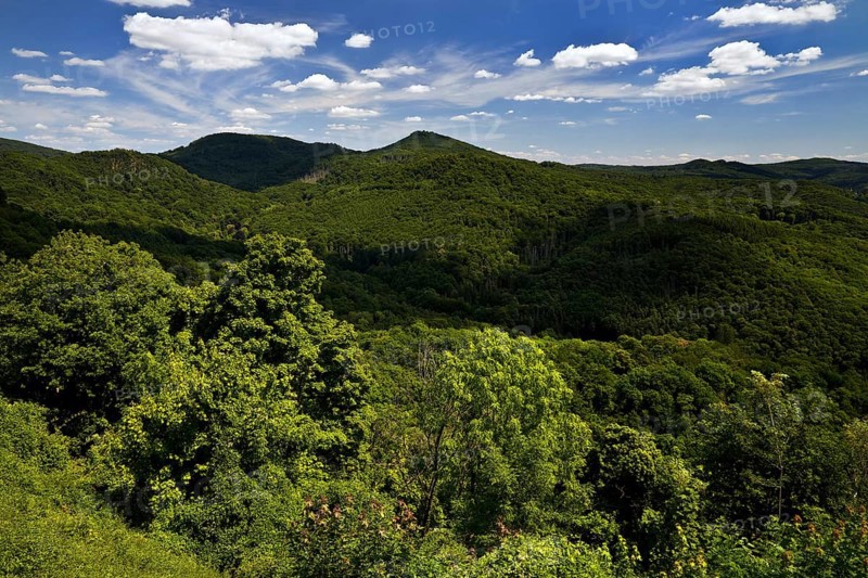 Siebengebirge, low mountain range on the right bank of the Rhine, Königswinter, North Rhine-Westphalia, Germany