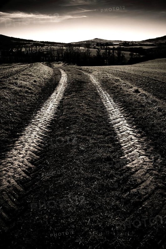 Tire tracks cut through a dark, rural field, leading toward rolling hills under a moody sky at dusk. Puy de dome. Auvergne, France