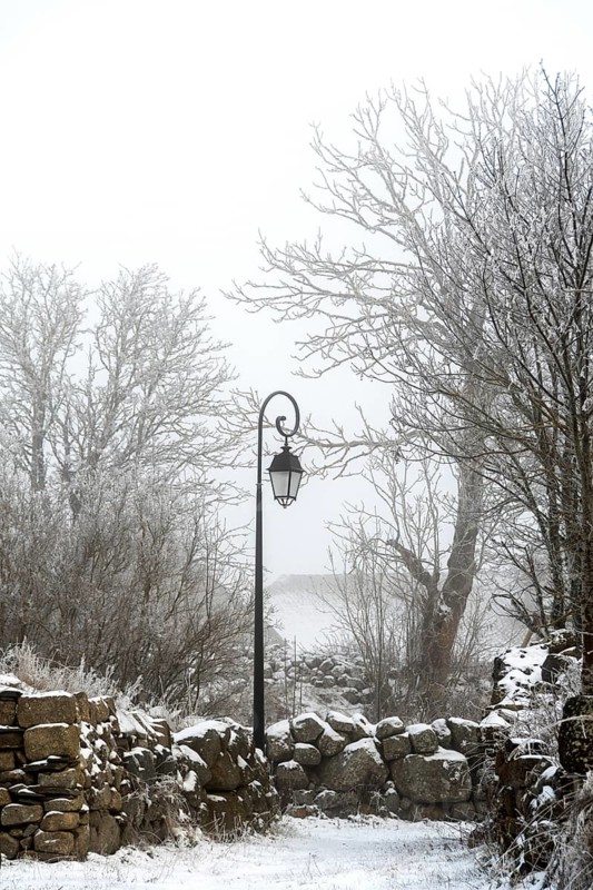 A vintage lamp post stands still amidst a snowy landscape, surrounded by frosty trees and a stone wall, Aubrac, Lozere, Occitanie, France