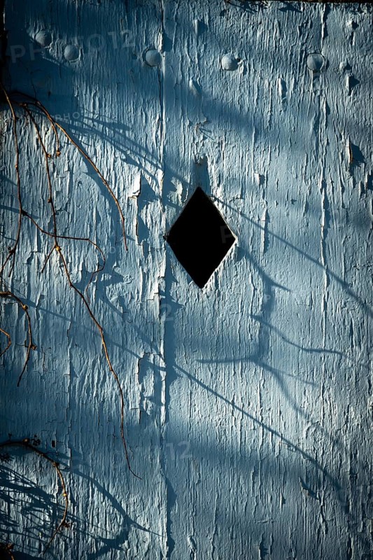 A blue wall exhibits a diamond-shaped opening, surrounded by shadowy vines and textured surfaces. The light casts intricate patterns, creating a serene atmosphere in the late afternoon