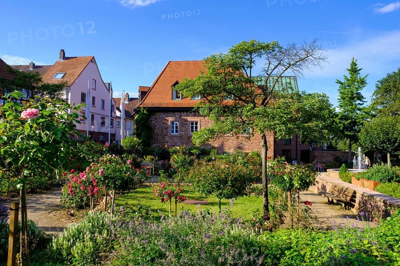 Rosengarten and Roman Museum Obernburg, am Main, Lower Franconia, Franconia, Germany
