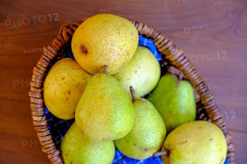 Pala pear, pears, Vinschgau, South Tyrol, Italy