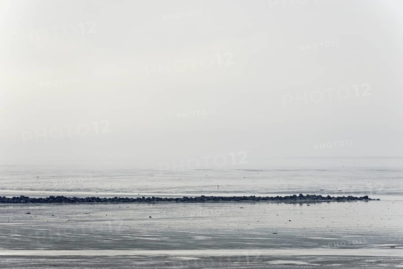 North Sea coast, cloudy winter day, Wadden Sea at low tide, stone groyne as coastal protection, North Sea, Norddeich, Lower Saxony, Germany