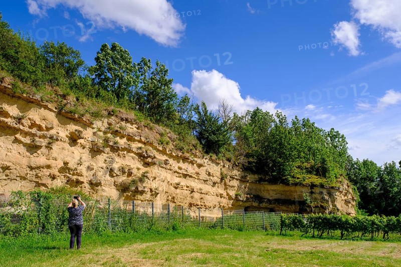 Weinheimer Trift natural monument, near Alzey, Rhine-Hesse region, Rhineland-Palatinate, Germany