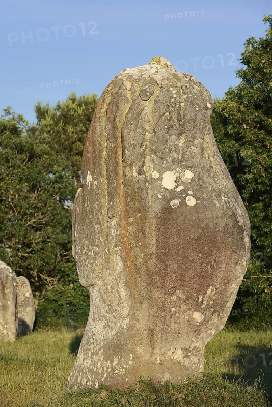 Megalithe, Alignements du Menec, Carnac, Department of Morbihan, Brittany, France