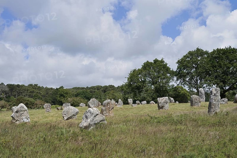 Megalithe, Alignements de Kermario, Carnac, Department of Morbihan, Brittany, France