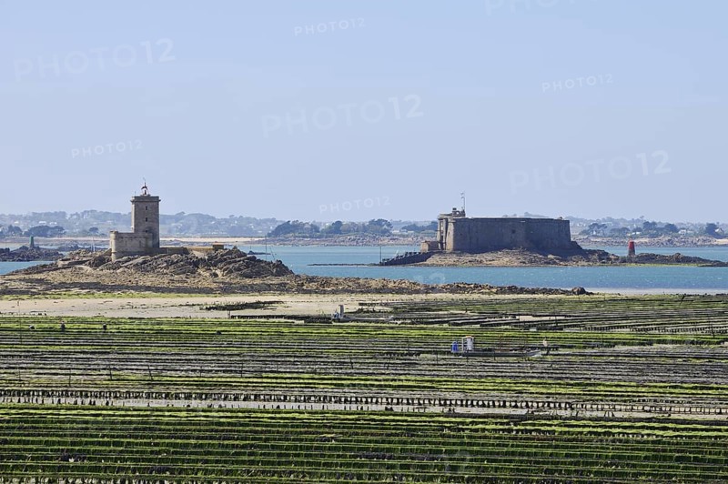Oyster farm in the Atlantic at low tide and Chateau de Taureau fortress, Plouezoc'h, Bay of Morlaix, Finistere, Brittany, France