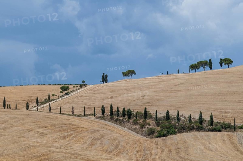 Tuscan landscape, Tuscany, Italy