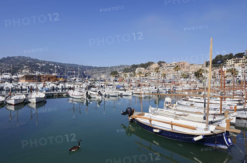 Boats in the harbour, Port De Soller, Majorca, Balearic Islands, Spain