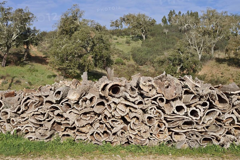 Stacked bark of the cork oak (Quercus suber), cork, Algarve, Portugal