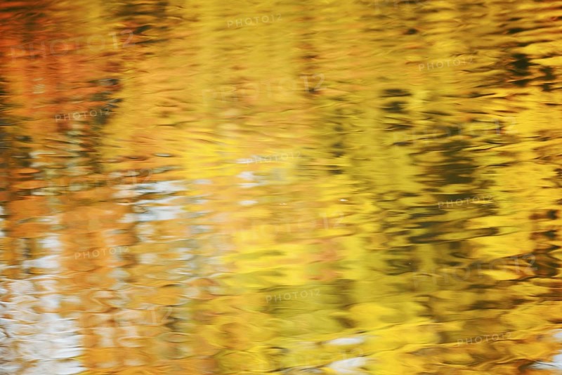 Autumn-coloured deciduous trees reflected on a water surface, North Rhine-Westphalia, Germany