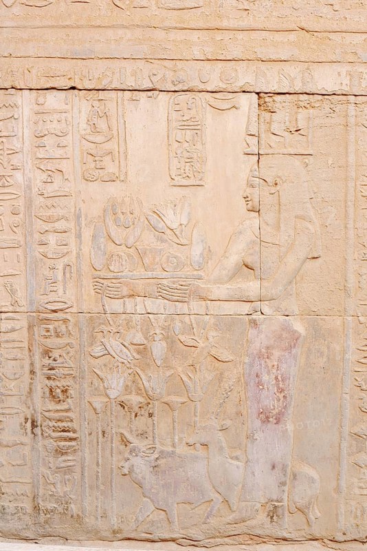 Relief on the double temple of Kom Ombo, Kom Ombo, Egypt