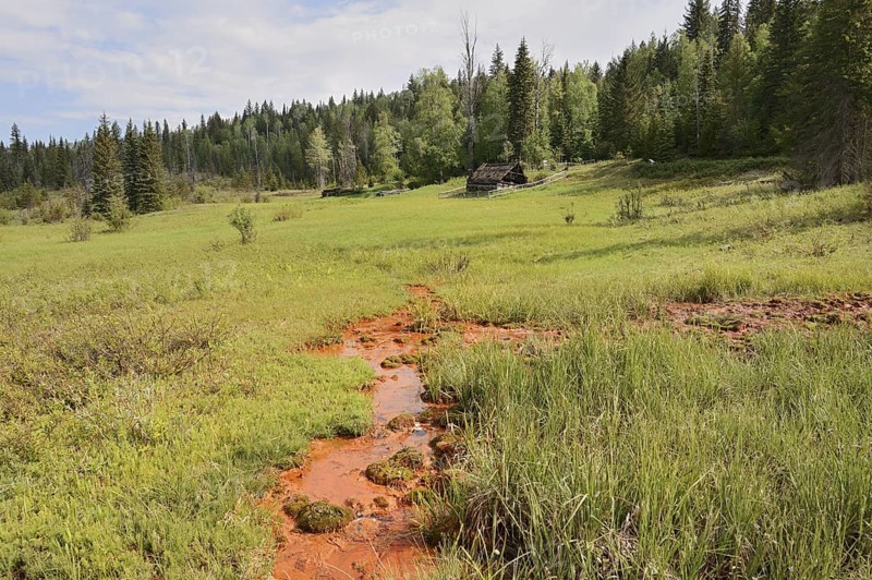 Mineral Springs, Wells Gray Provincial Park, British Columbia, Canada