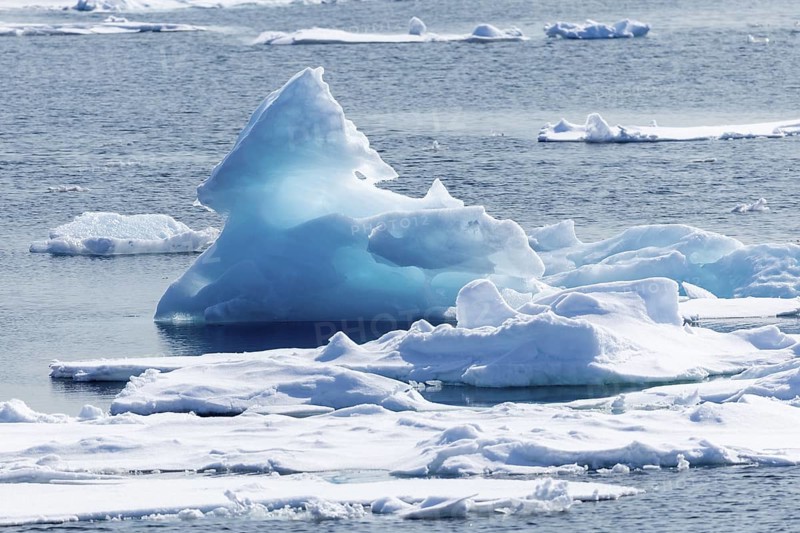 Iceberg, glacier ice, Faksevagen, Scandinavia, Spitsbergen