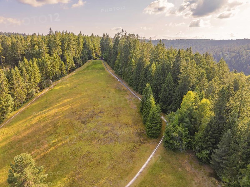 Landscape with green slope, surrounded by dense trees, above a clear sky, Retro Freizeitpark Poppeltal Riesenrutschbahn, Enzklösterle, Black Forest, Germany