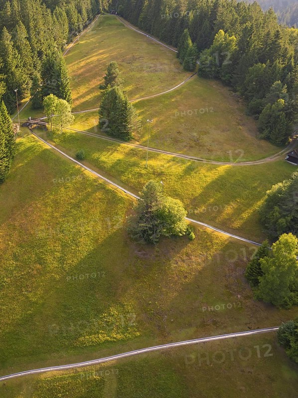 Aerial view of a sunlit forest slope with winding paths, Retro Freizeitpark Poppeltal Riesenrutschbahn, Enzklösterle, Black Forest, Germany