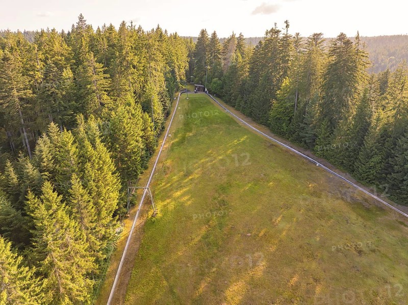 Green slope on the edge of the forest under a clear sky, with gentle paths, Retro Freizeitpark Poppeltal giant slide, Enzklösterle, Black Forest, Germany