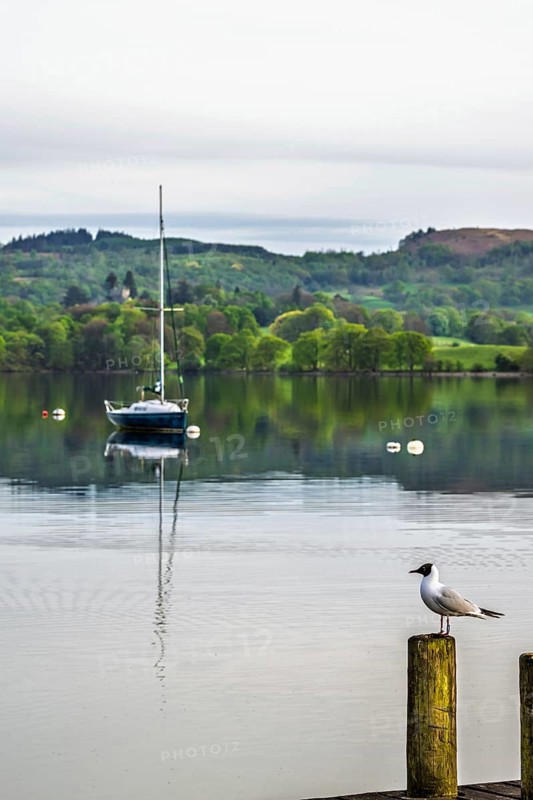 Boats on Windermere Lake and mountains, Ambleside, Lake District, Cumbria, England, United Kingdom