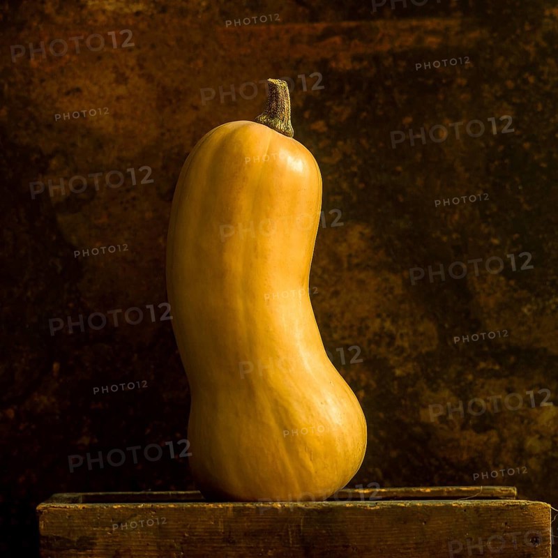 A butternut squash stands upright, showcasing its sleek curves and warm hues. The background's rich texture enhances the vegetable's natural beauty, creating an inviting atmosphere