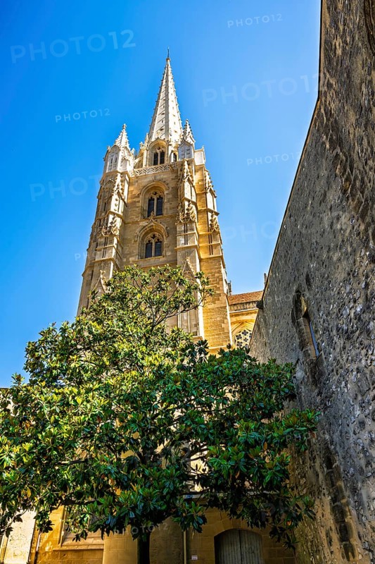 Cathedrale Sainte-Marie in Bayonne, Basque Country, Southwest France