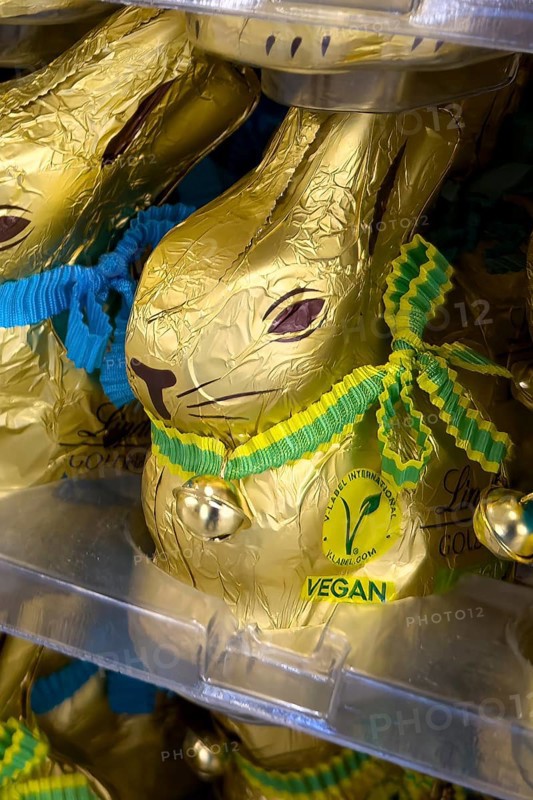 Chocolate bunny chocolate Easter bunny with button marking VEGAN award made from vegan chocolate, international