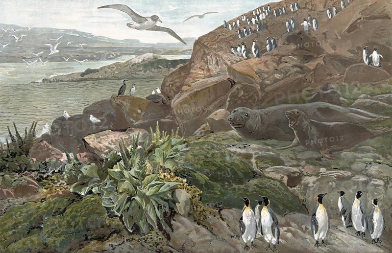 Landscape on the Kerguelen Archipelago, sub-Antarctic archipelago in the southern Indian Ocean, part of the French Southern and Antarctic Territories, authentic reproduction of a school mural, historic, around 1900