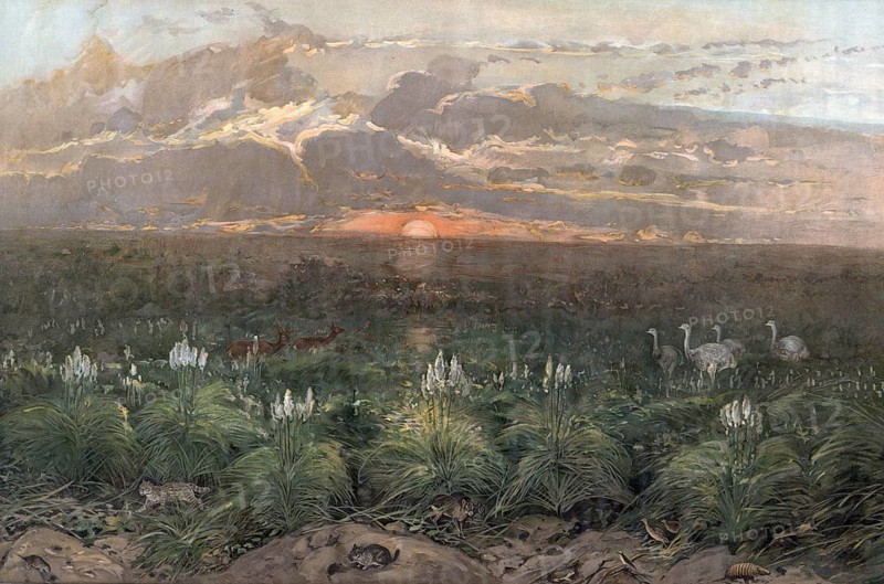 Landscape in the Pampas, flat, woody grassland in southeastern South America, Argentina, authentic reproduction of a school mural, historic, around 1900