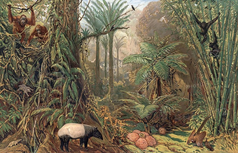 Prehistoric jungle in Sumatra, Indonesia, authentic reproduction of a school mural, historic, around 1900