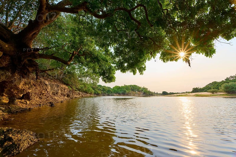 Sun rays break through the trees on the riverbank, picturesque landscape with calm water in the morning light, Rio Negro, Fazenda Barranco Alto, Pantanal, UNESCO Biosphere Reserve, World Heritage Site, Mato Grosso, Brazil