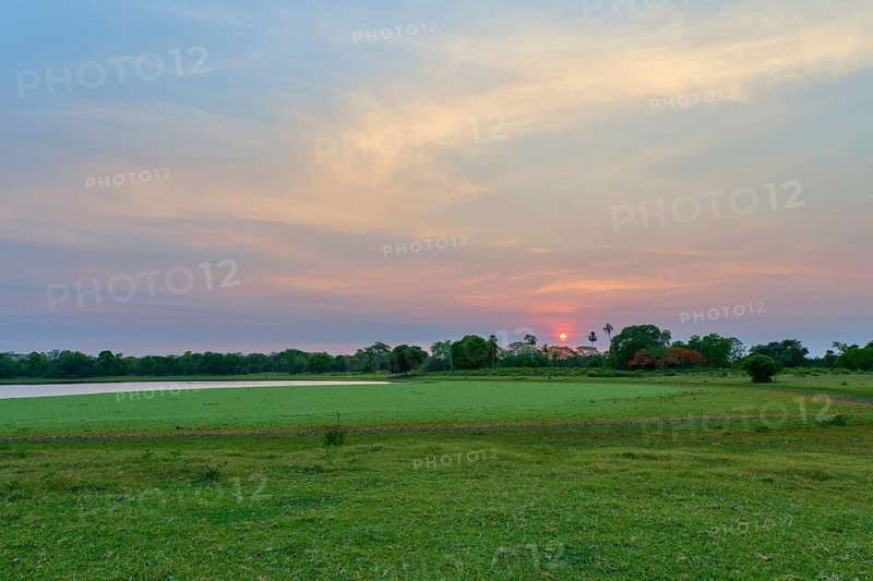 An idyllic landscape with a lake surrounded by trees and a warm morning sky at sunrise, Fazenda Barranco Alto, Pantanal, UNESCO Biosphere Reserve, World Heritage Site, Mato Grosso, Brazil