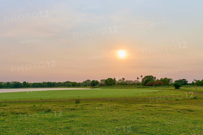 Tranquil landscape at sunrise with a lake, green trees and a clear sky, Fazenda Barranco Alto, Pantanal, UNESCO Biosphere Reserve, World Heritage Site, Mato Grosso, Brazil