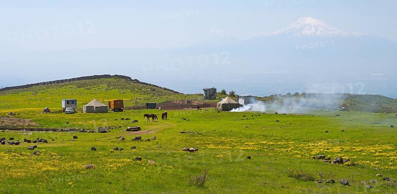 Green meadow with tents and smoke in the foreground, Mount Ararat in the background, nomads, tents and caravans as summer camp, on the southern slopes of Aragaz, Aragats, Aragac, Alagyaz, Aragazotn province, Armenia