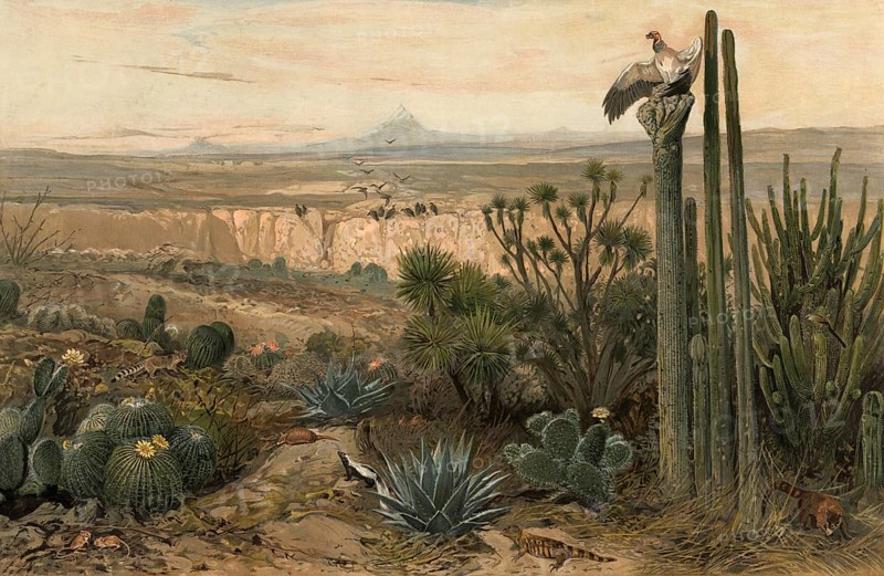 Landscape in the Highlands of Mexico, authentic reproduction of a school mural, historical, around 1900