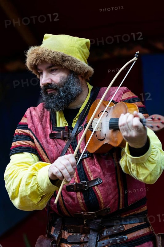 Violinist, musician, medieval clothing, medieval market, city of Esslingen, district of Esslingen, Baden-WÃ¼rttemberg, Germany