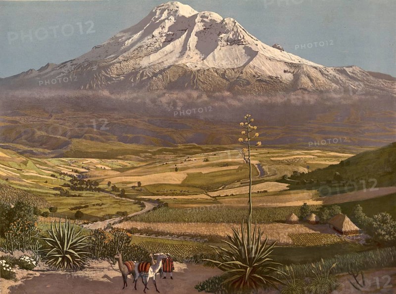 Chimborazo volcano in Ecuador, authentic reproduction of a school mural, historic, around 1900, A snow-covered volcano towers over a picturesque landscape with green fields and animals