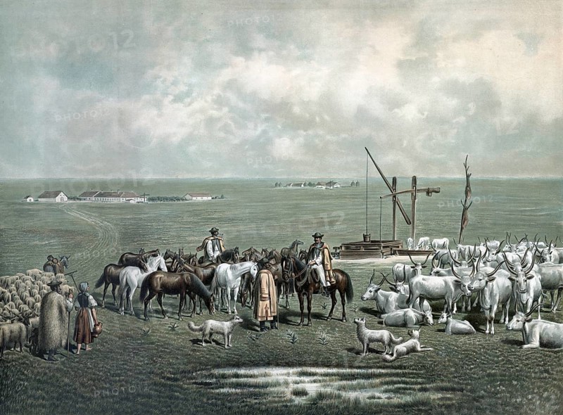 Shepherds with cattle and sheep at a well on the Puszta in Hungary, authentic reproduction of a school mural, historic, around 1900