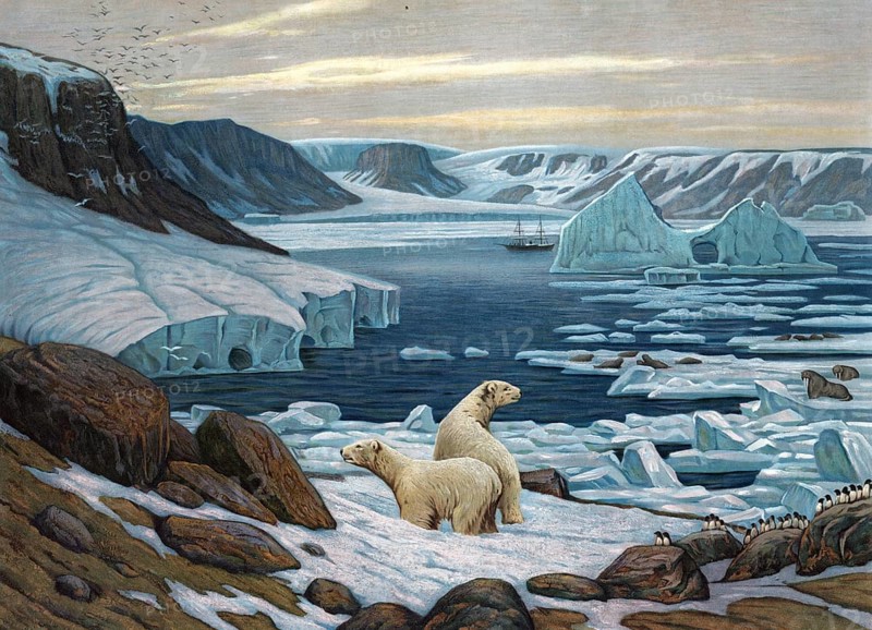 Polar Landscape with Polar Bears, Arctic, Authentic Reproduction of a School Mural, Historic, Around 1900, Two Polar Bears Explore an Icy, Arctic Coastal Landscape