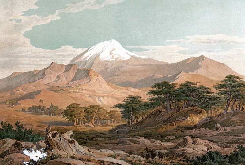 Mount Lebanon, authentic reproduction of a school mural, historical, around 1900
