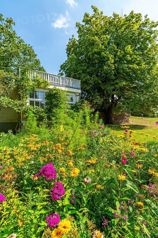 Hans Fallada Museum House and Garden, Carwitz, Feldberger Seenlandschaft, Mecklenburg Lake District, Mecklenburg-Western Pomerania, Germany