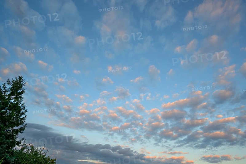 Large fleecy clouds (Altocumulus), Mecklenburg-Vorpommern, Germany