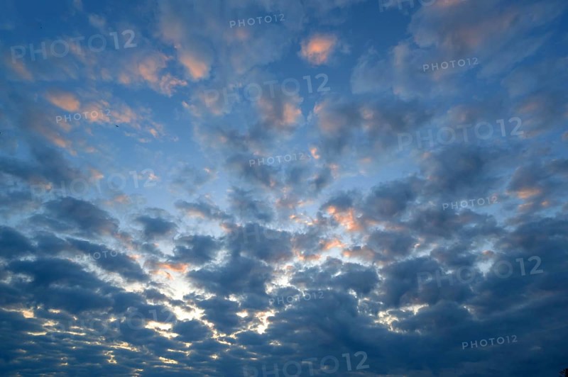 Large fleecy clouds (Altocumulus) in the evening sky, Mecklenburg-Vorpommern, Germany