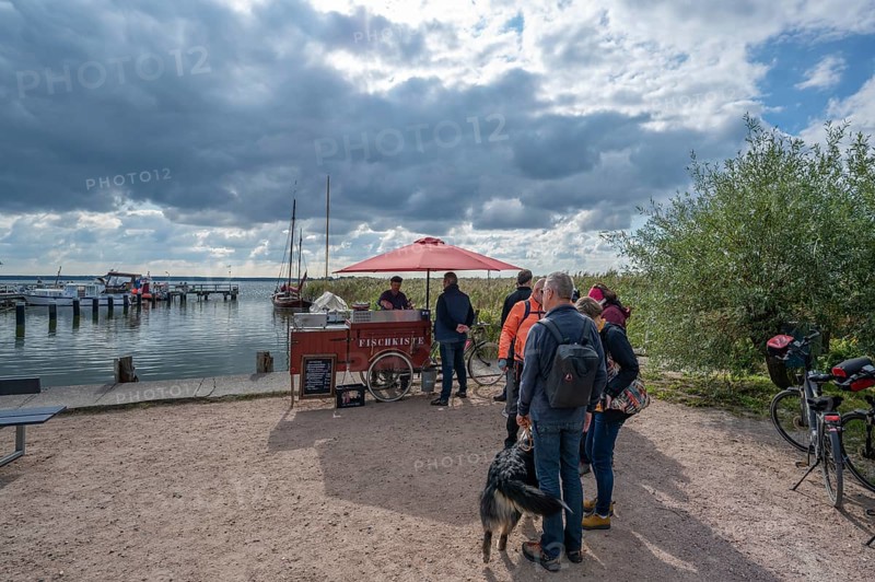 People queue at a fish stand for a fish sandwich, in the port of Wustow, Mecklenburg-Western Pomerania, Germany