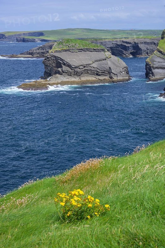 Cliffs of, Kilkee, County Clare, Ireland